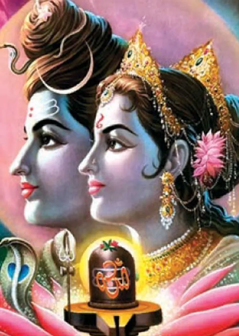 /idhalgal/balajothidam/sun-12-sins-virgo-luck-mahesh-verma