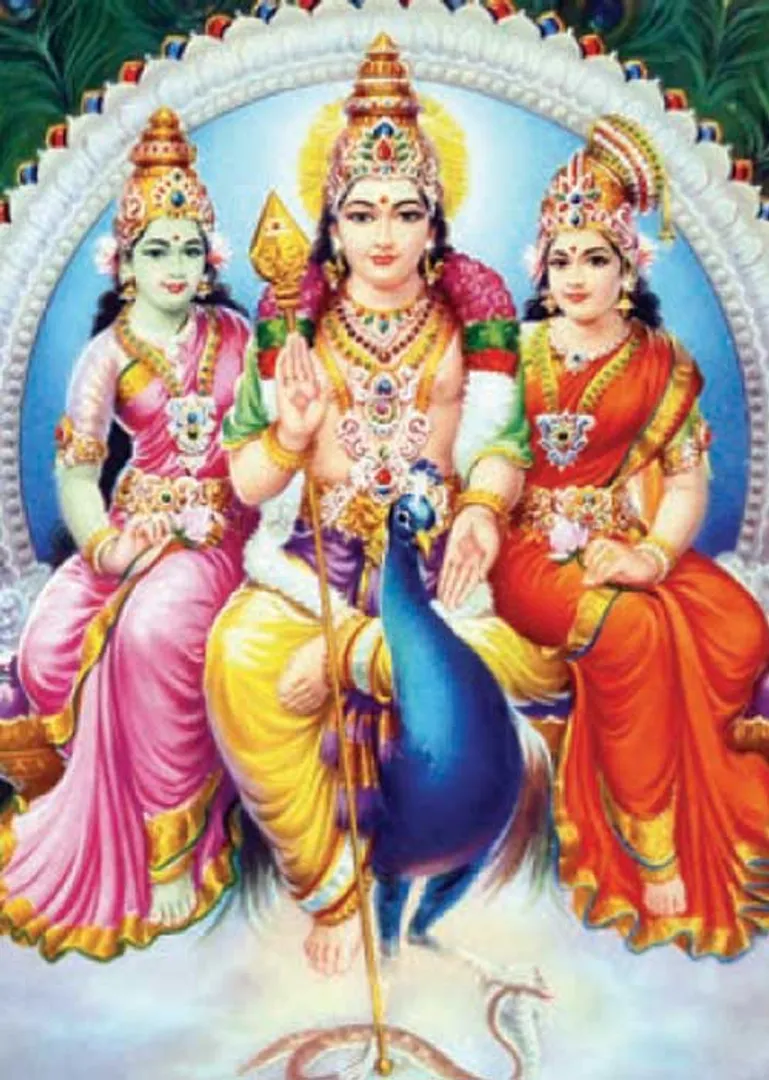 /idhalgal/balajothidam/how-does-tasabukti-work-dr-murugan-balamurugan