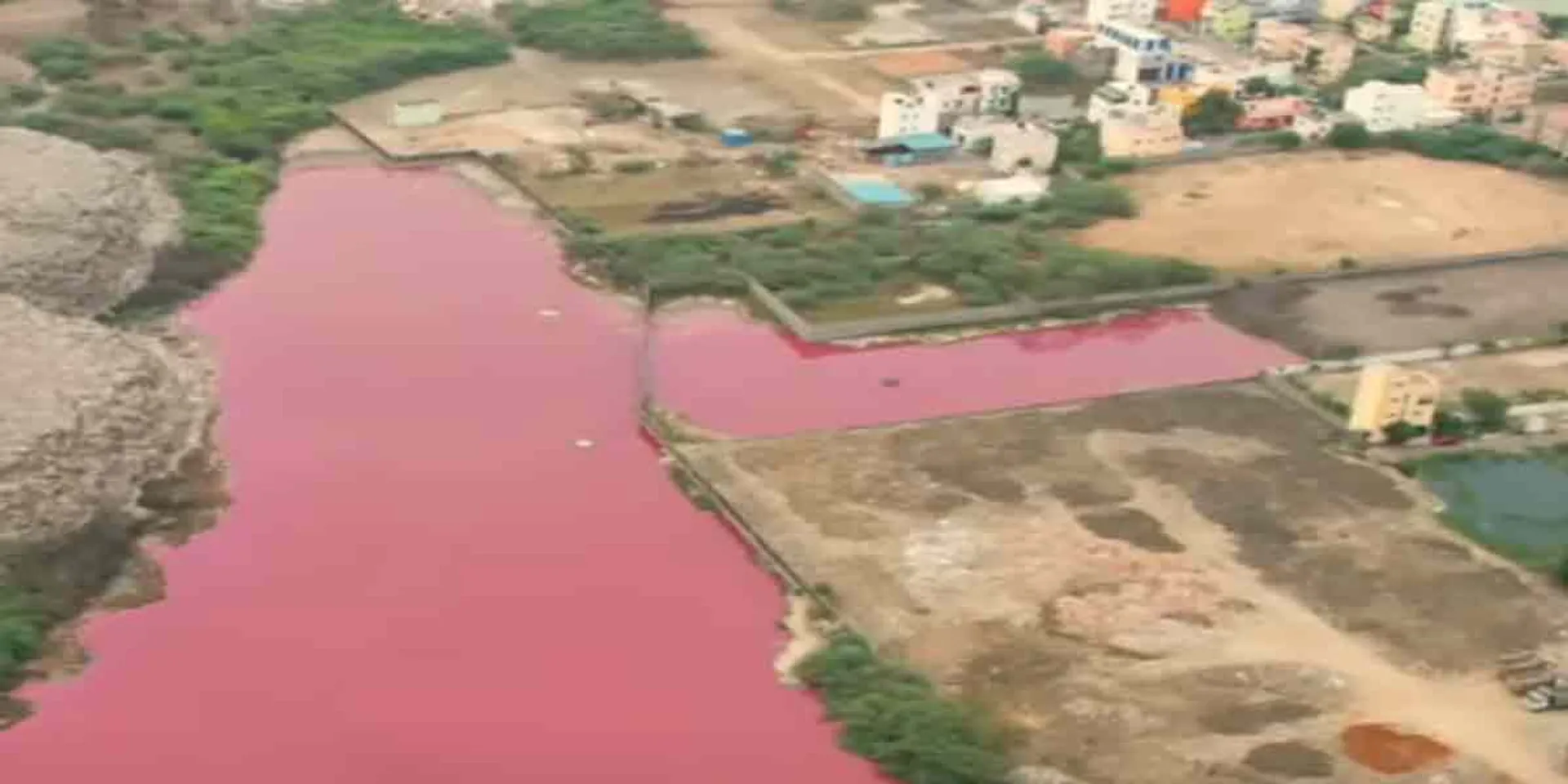  The water turned pink ... The reason for the release of the IIT team's test!
