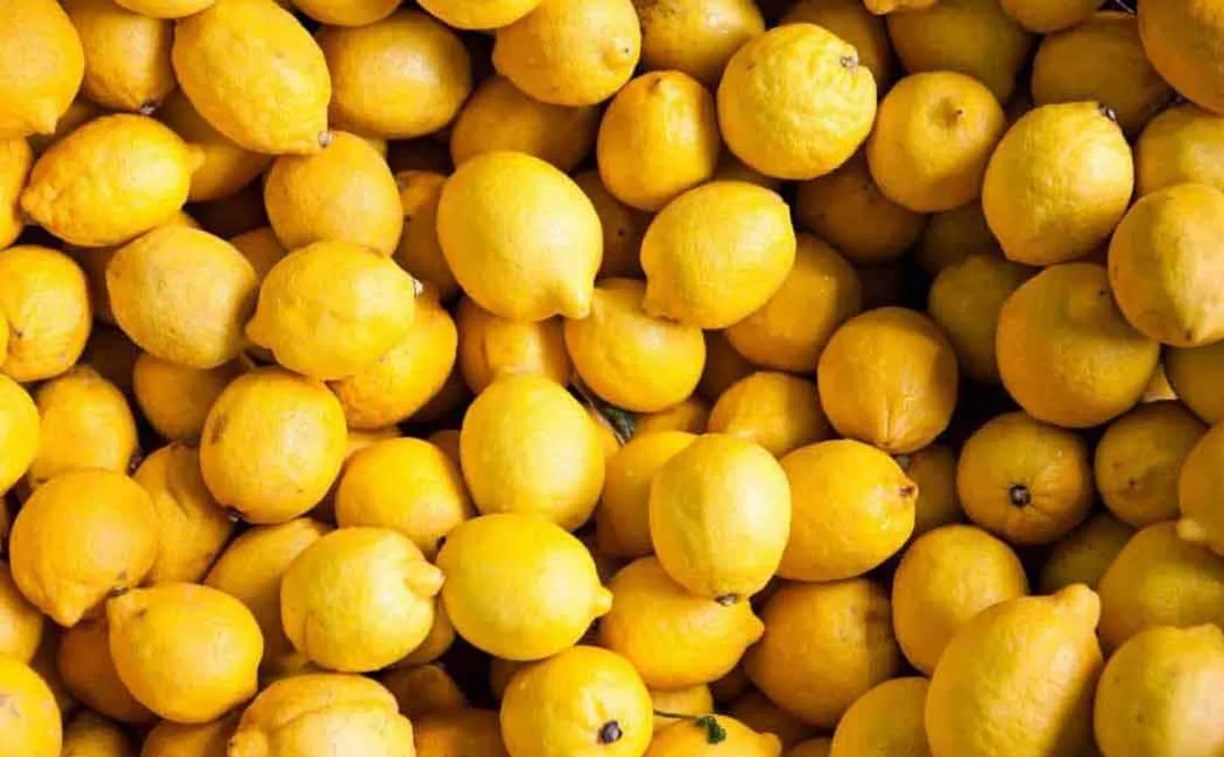  lemon prices Fallen