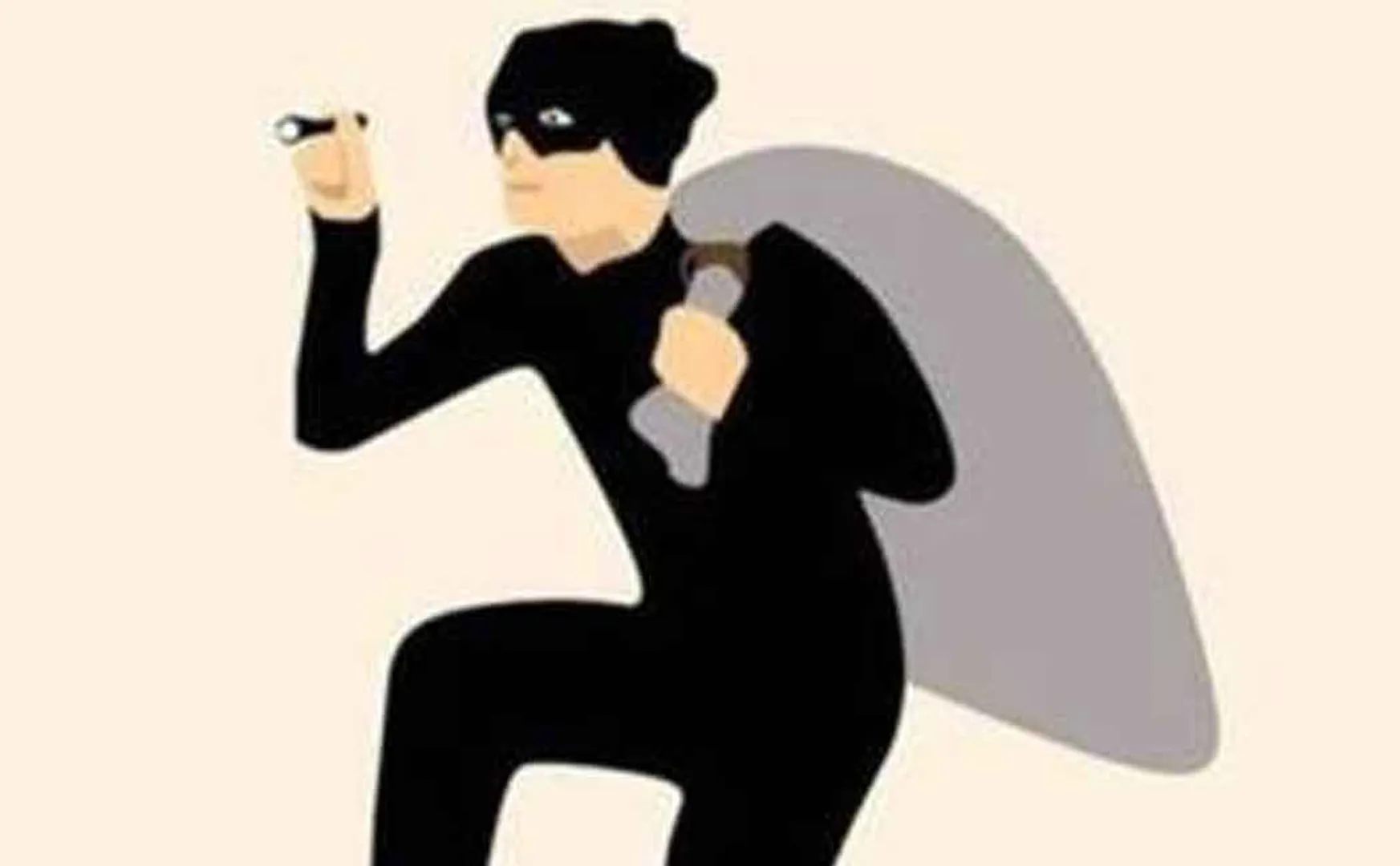 Theft in Revenue official home 