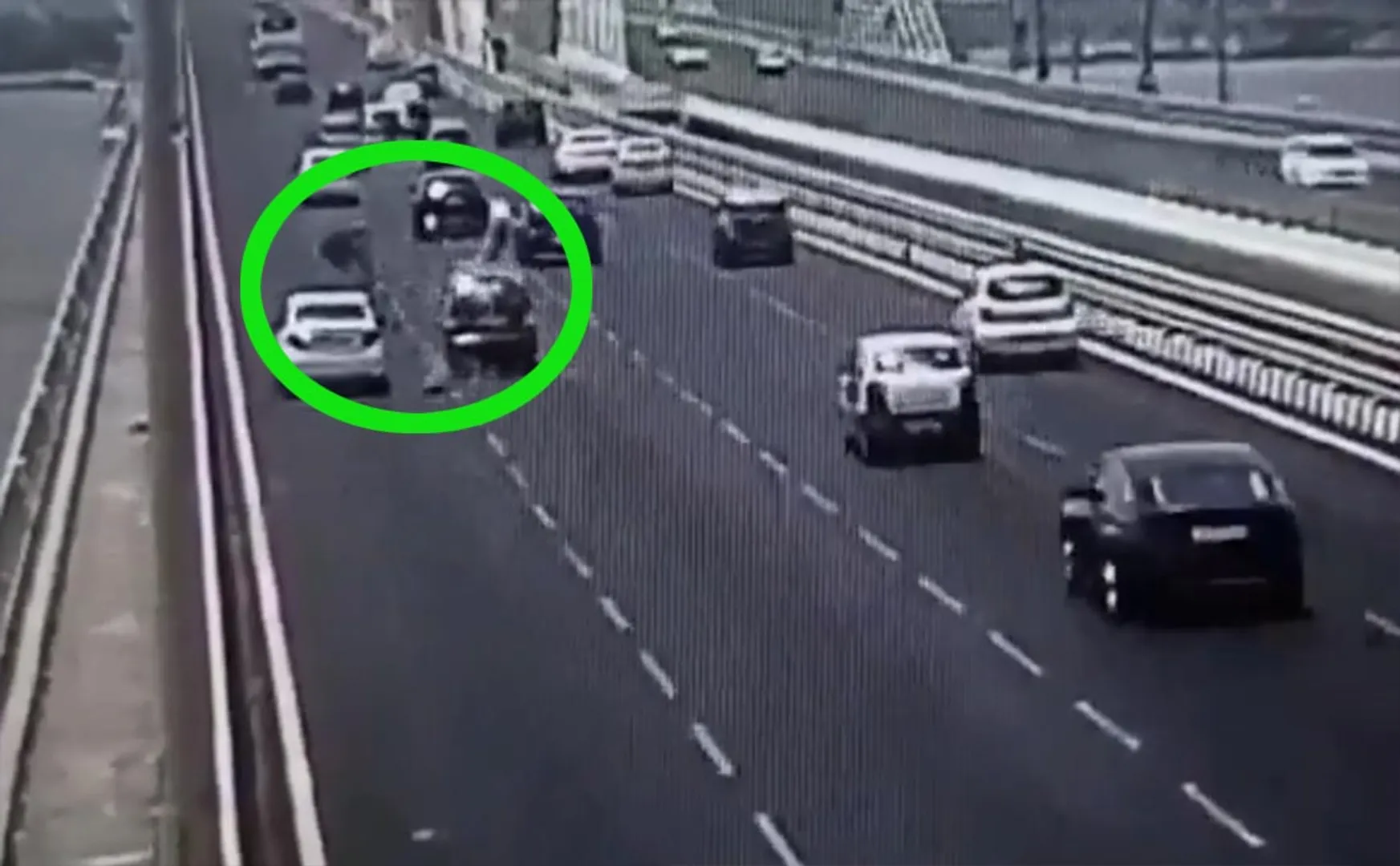 The car collided with those who got off the road to save the bird ... CCTV footage of the story!