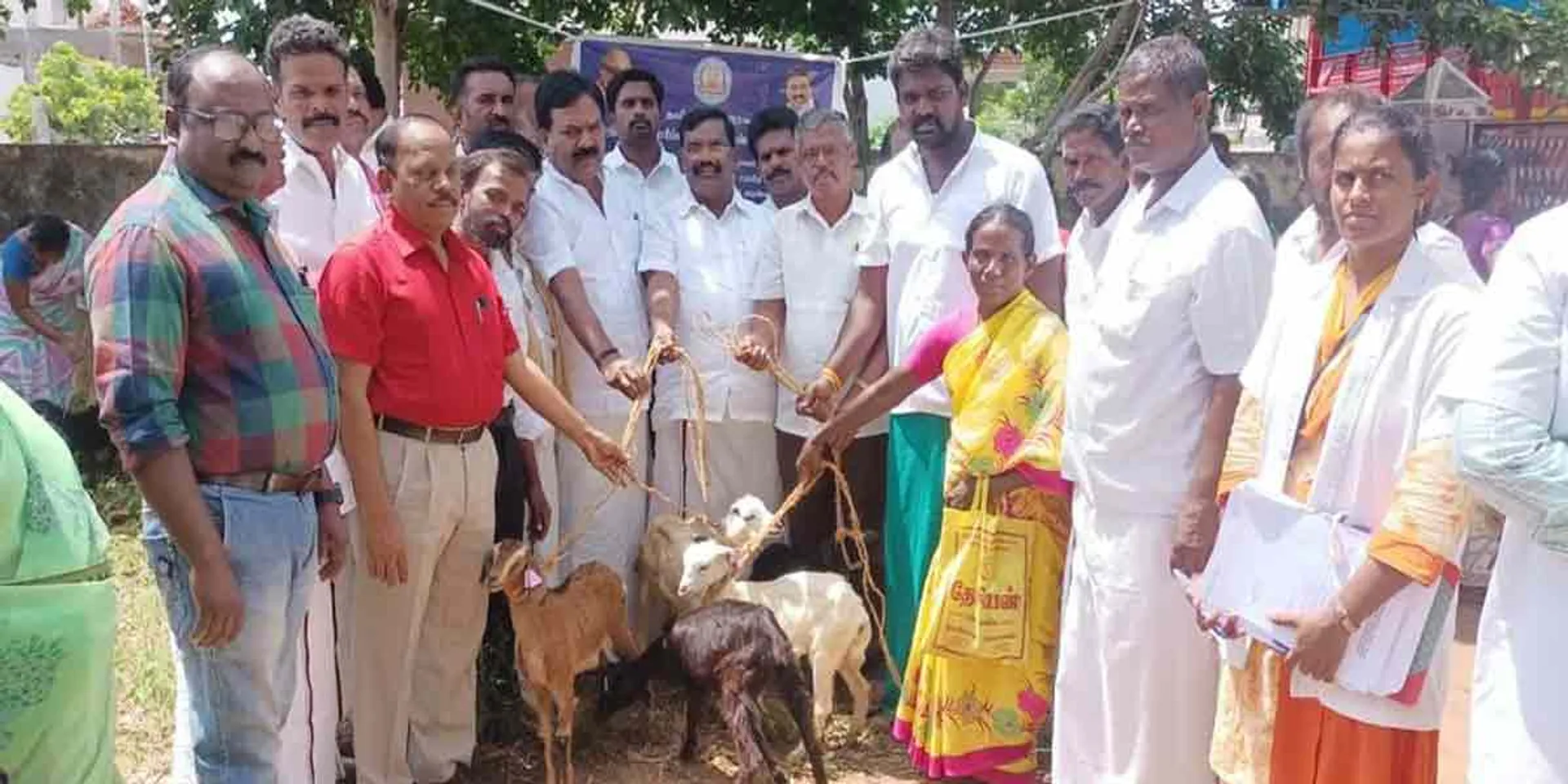 '' What kind of kid would you give to give AIADMK a goat '' - The old lady who turned the DMK union secretaries over