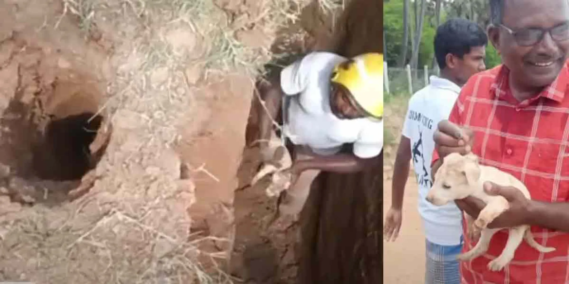 Puppy trapped in a deep well ... Congratulations to those who fought and rescued!