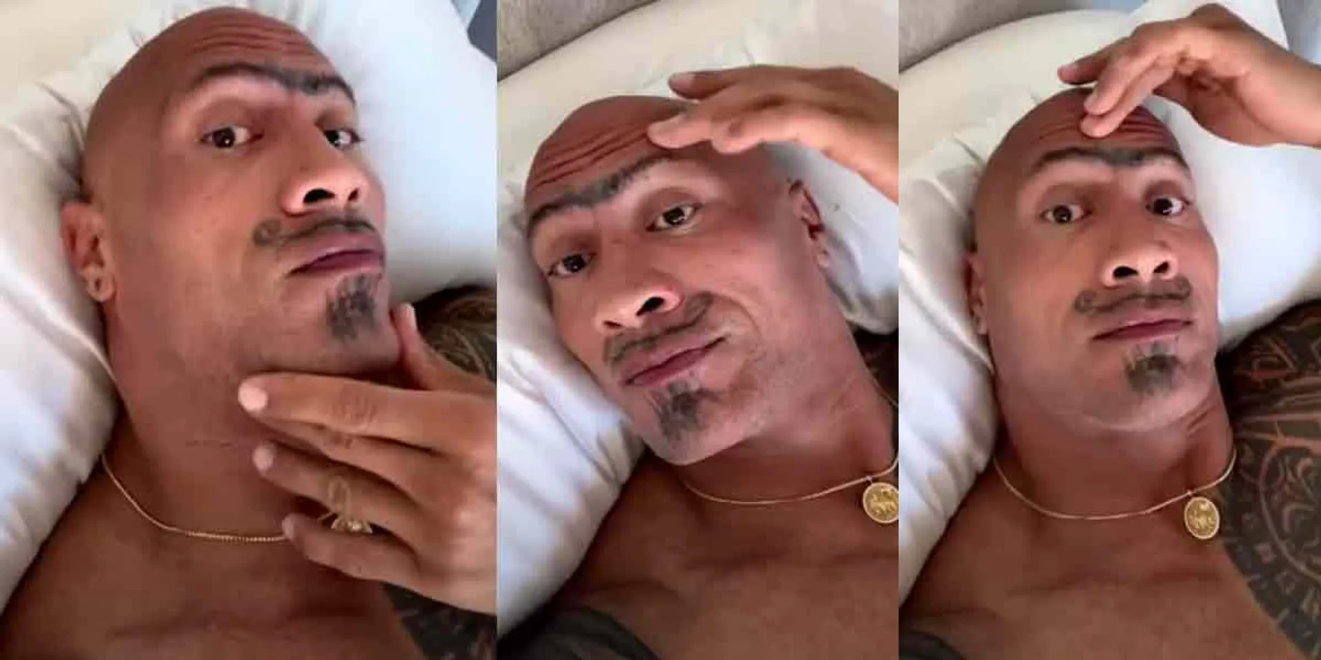 'Someone drew a pencil mustache while it was sleeping' - Rock Shock