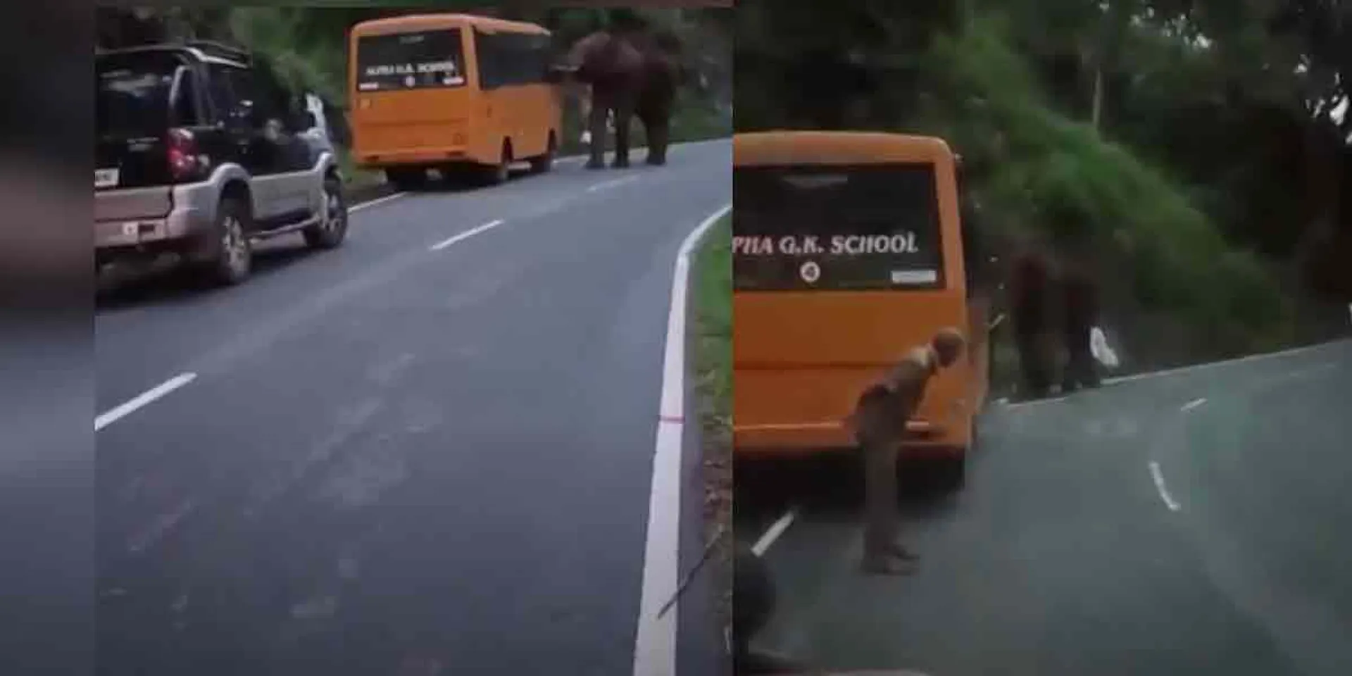 School van driver splashing after seeing elephant ... viral video!