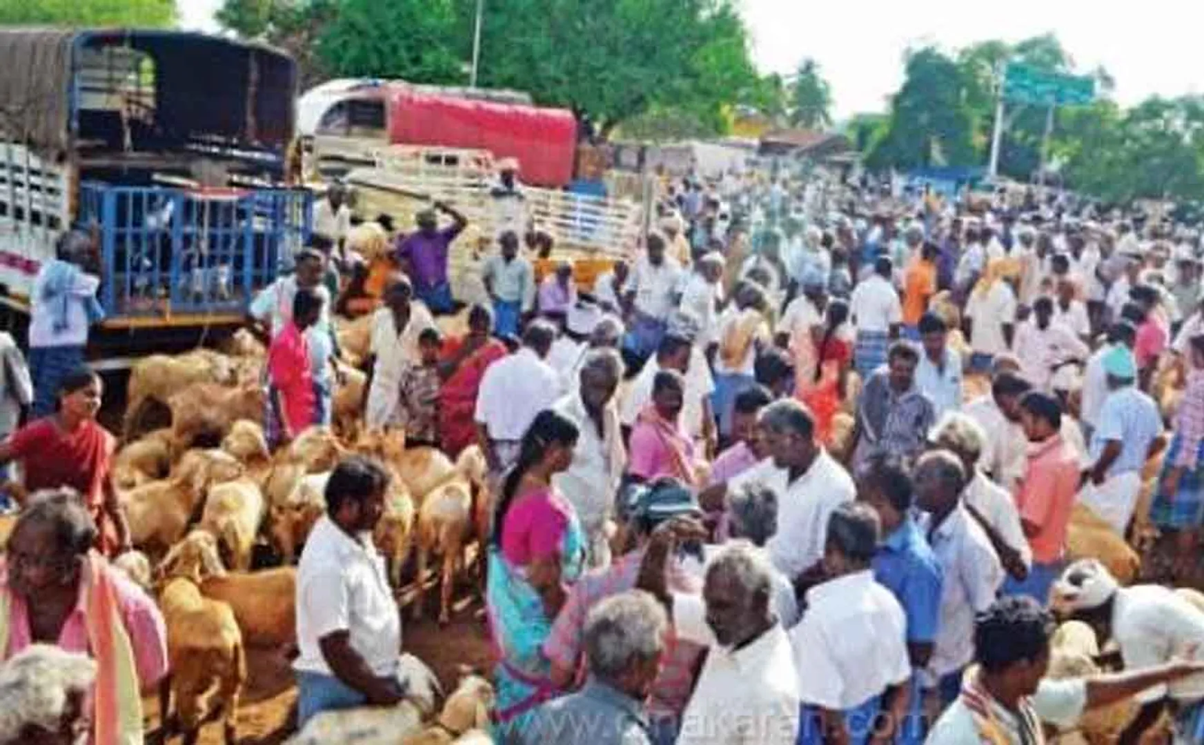 Konganapuram Saturn Market; 6 crore trade in one day!
