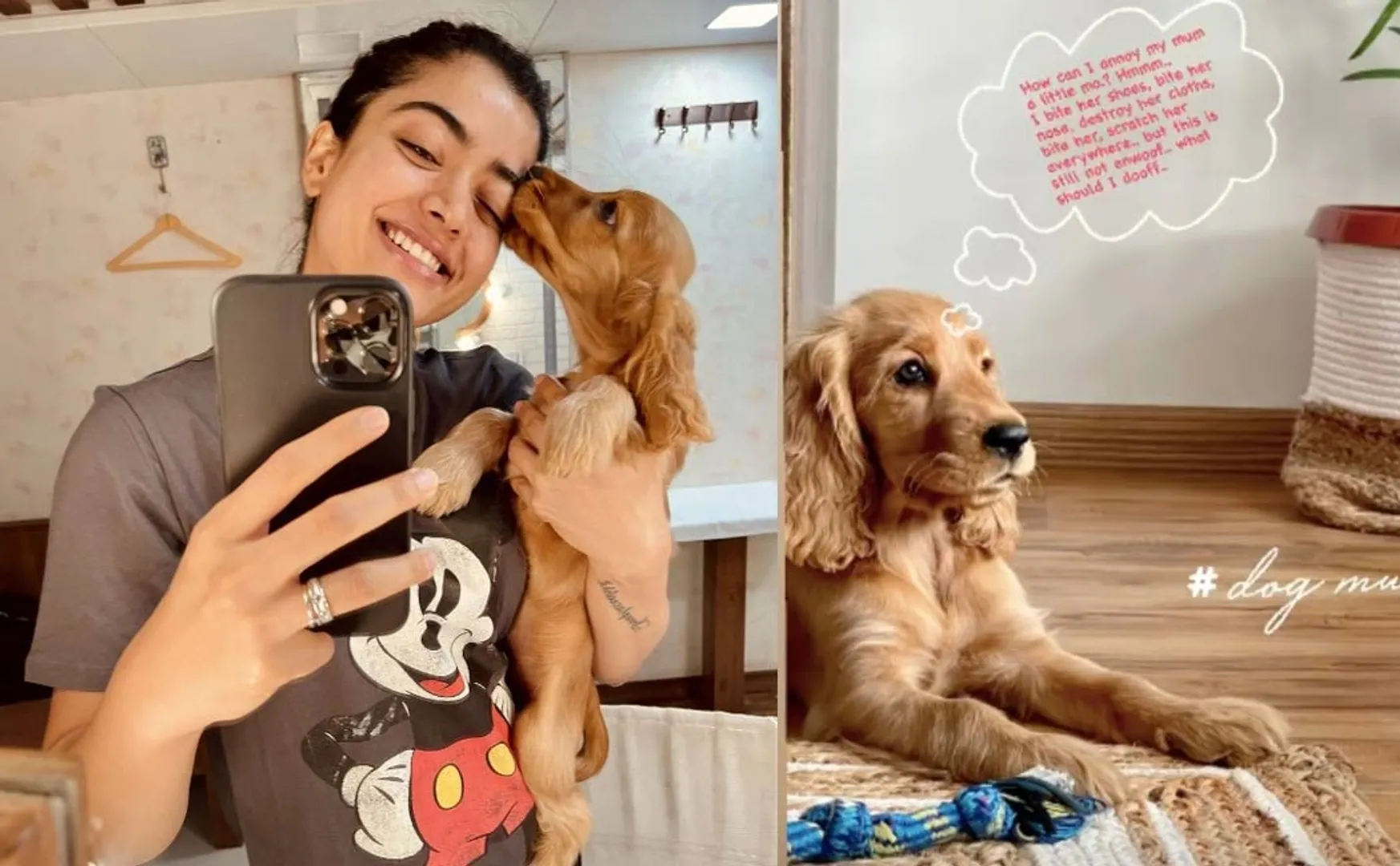 rashmika mandanna demands flight ticket her dog