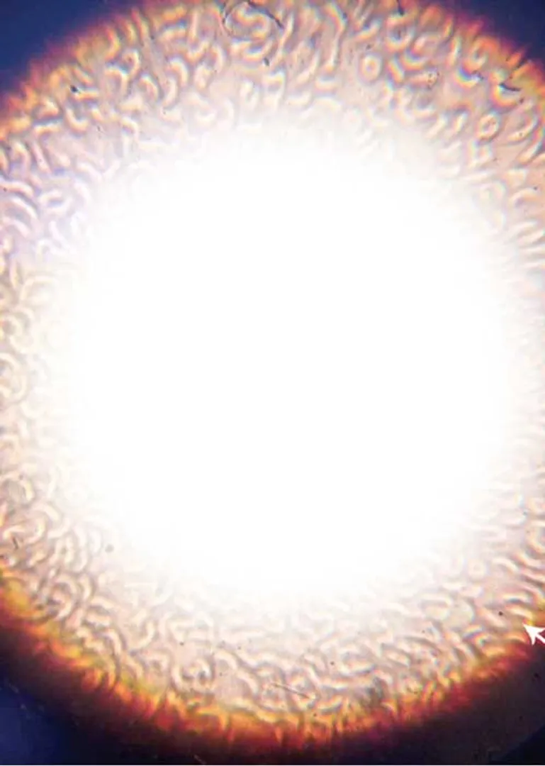 ce