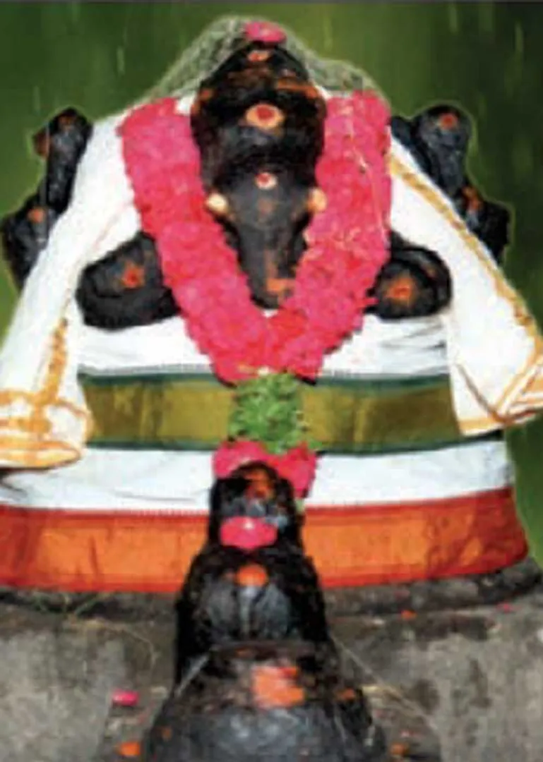 /idhalgal/om/chidambaram-ganesha-strengthen-vastu-k-kumara-sivacharya