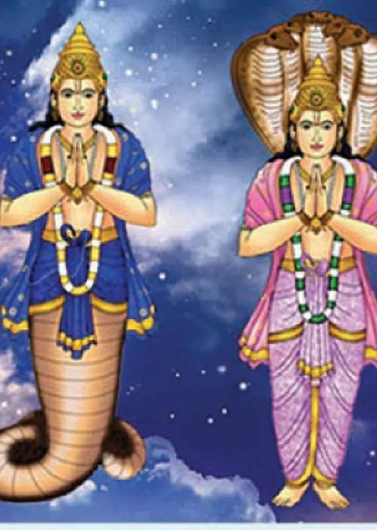 /idhalgal/balajothidam/rahu-12-sins-kanni-lakshman