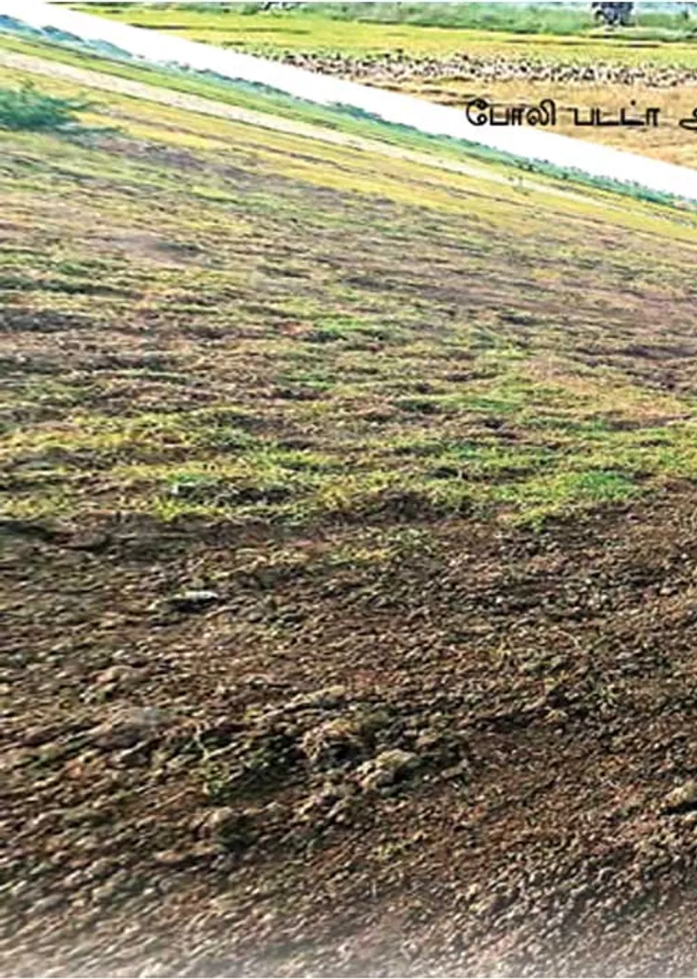 land