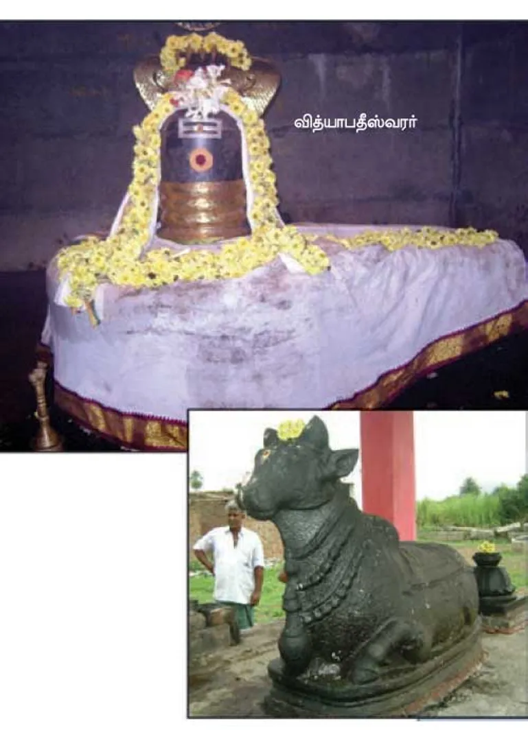 /idhalgal/om/vidyapathiswarar-who-excels-tricks-palangamoor-mo-ganesh
