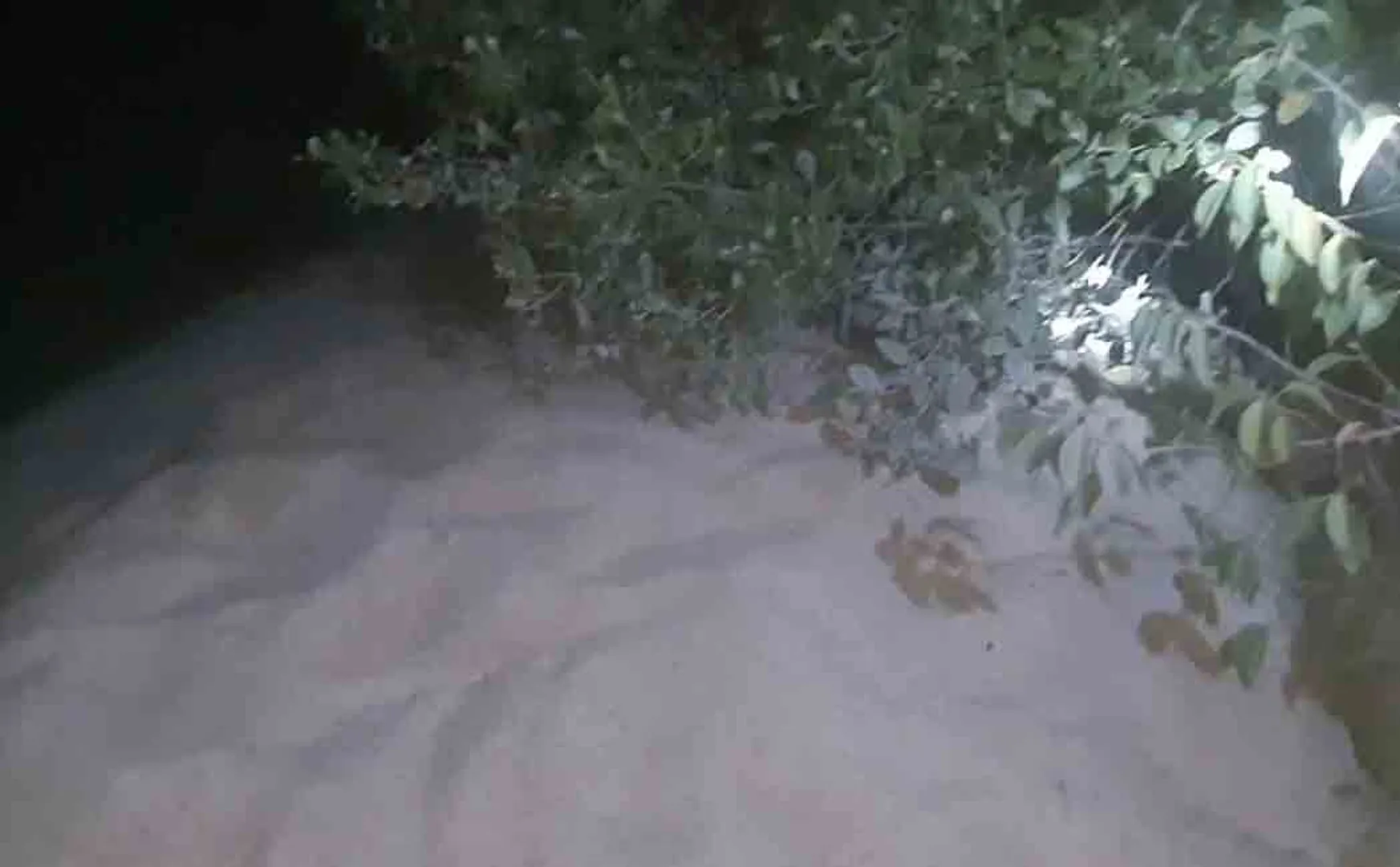 10 tons of ration rice thrown into the river! Police looking for mysterious people!