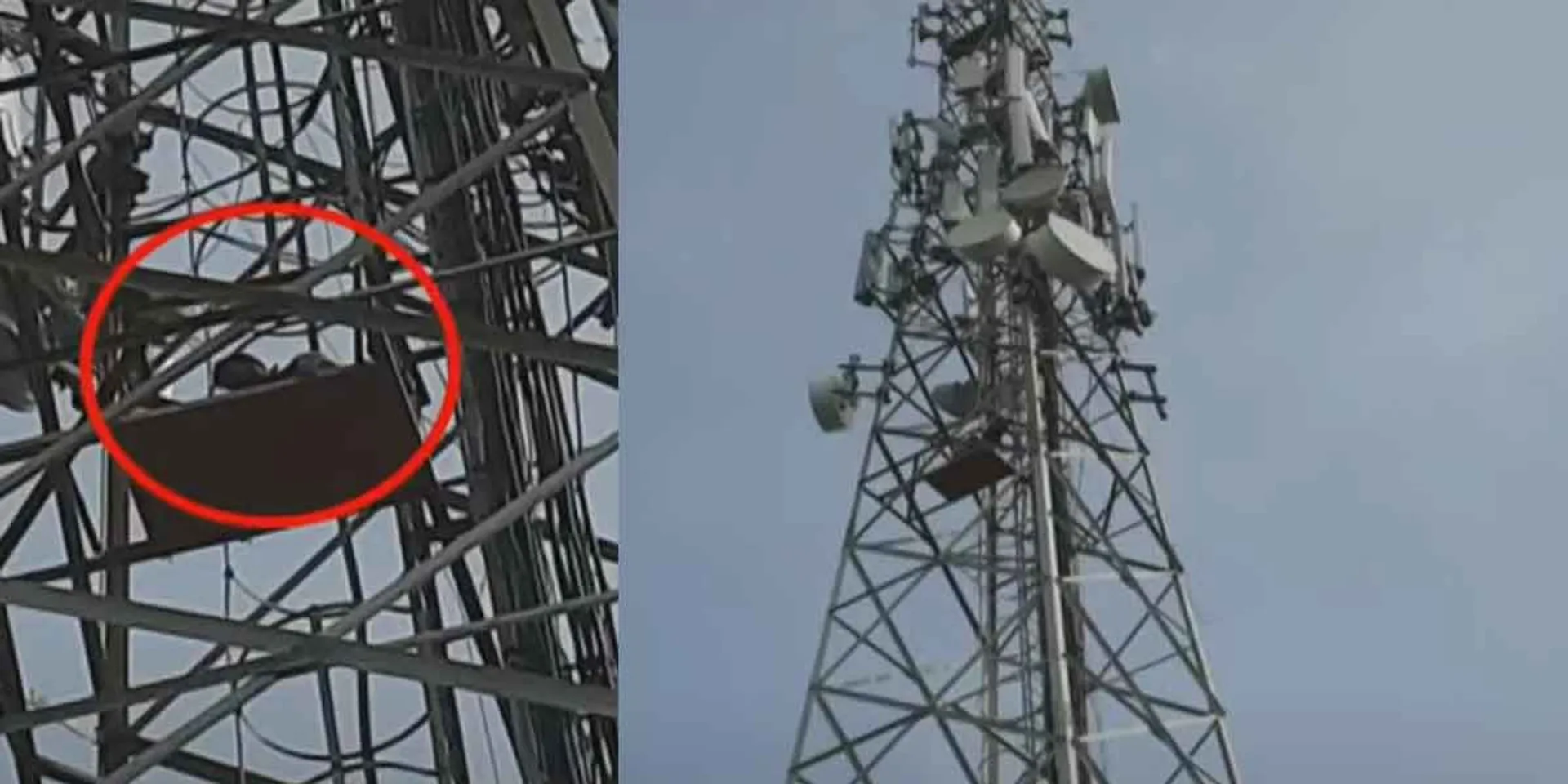  Villagers who fought in support of the young man by climbing the cell phone tower!