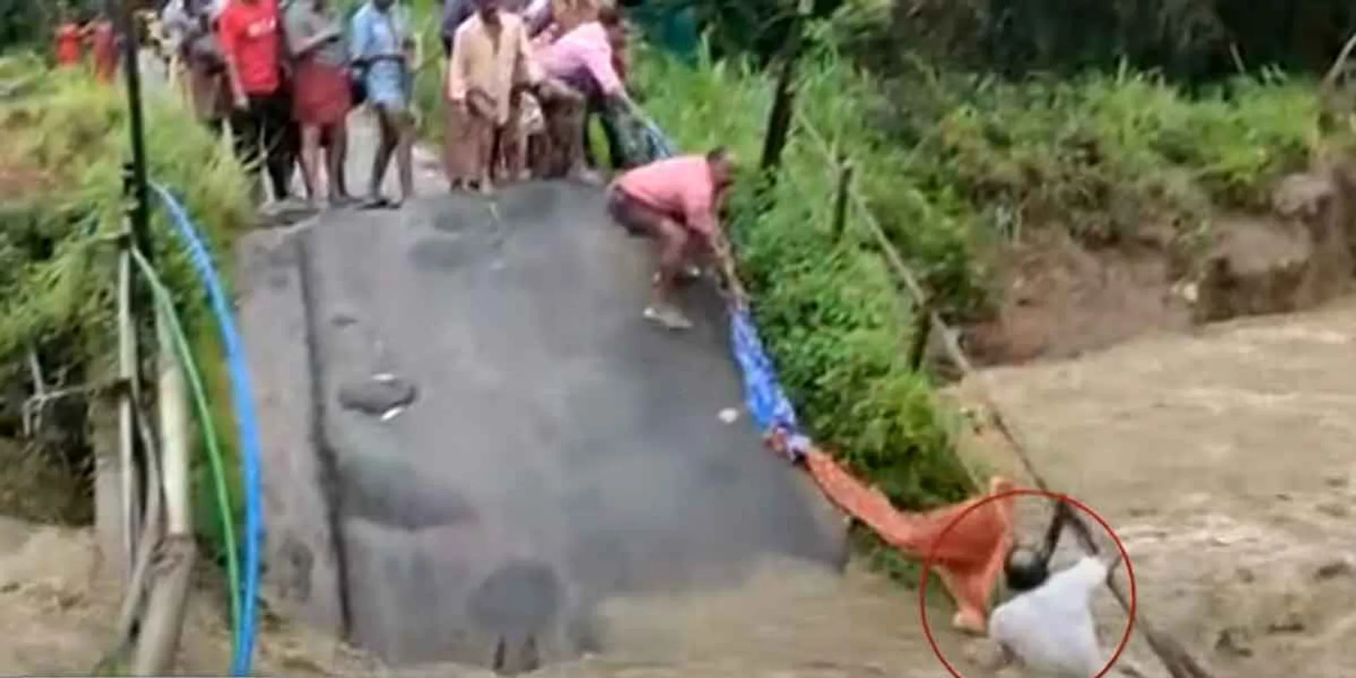  Land bridge cut off in Kudalur... Rescued person trapped in flood!