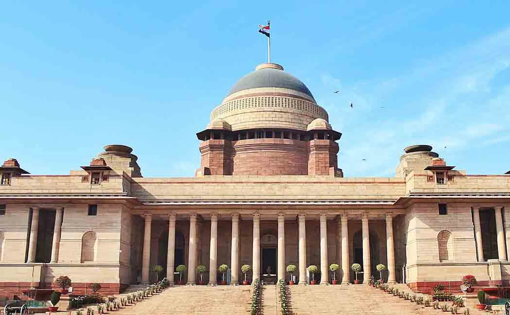 Presidential election tomorrow!