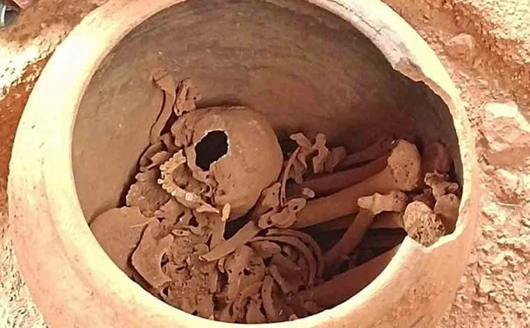 Adhichanallur Excavation skull
