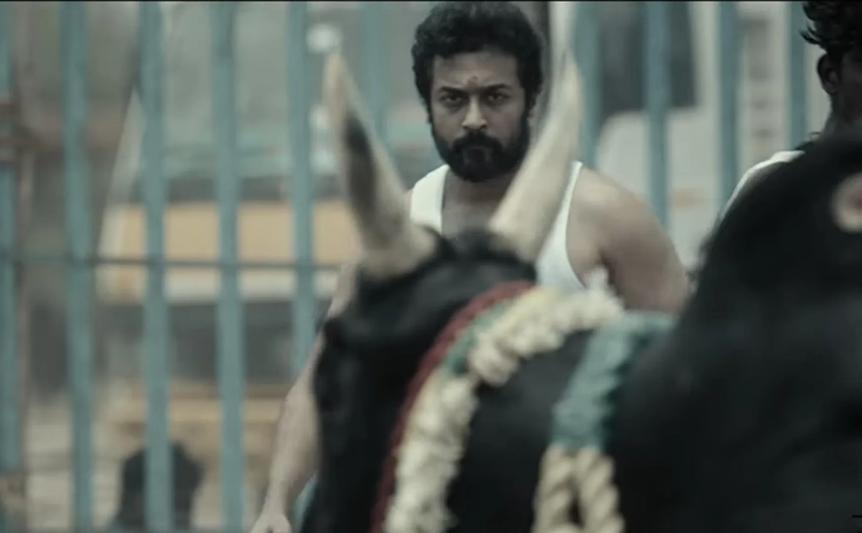 Suriya, training with the Jallikattu fighters for vaadivaasal - video released