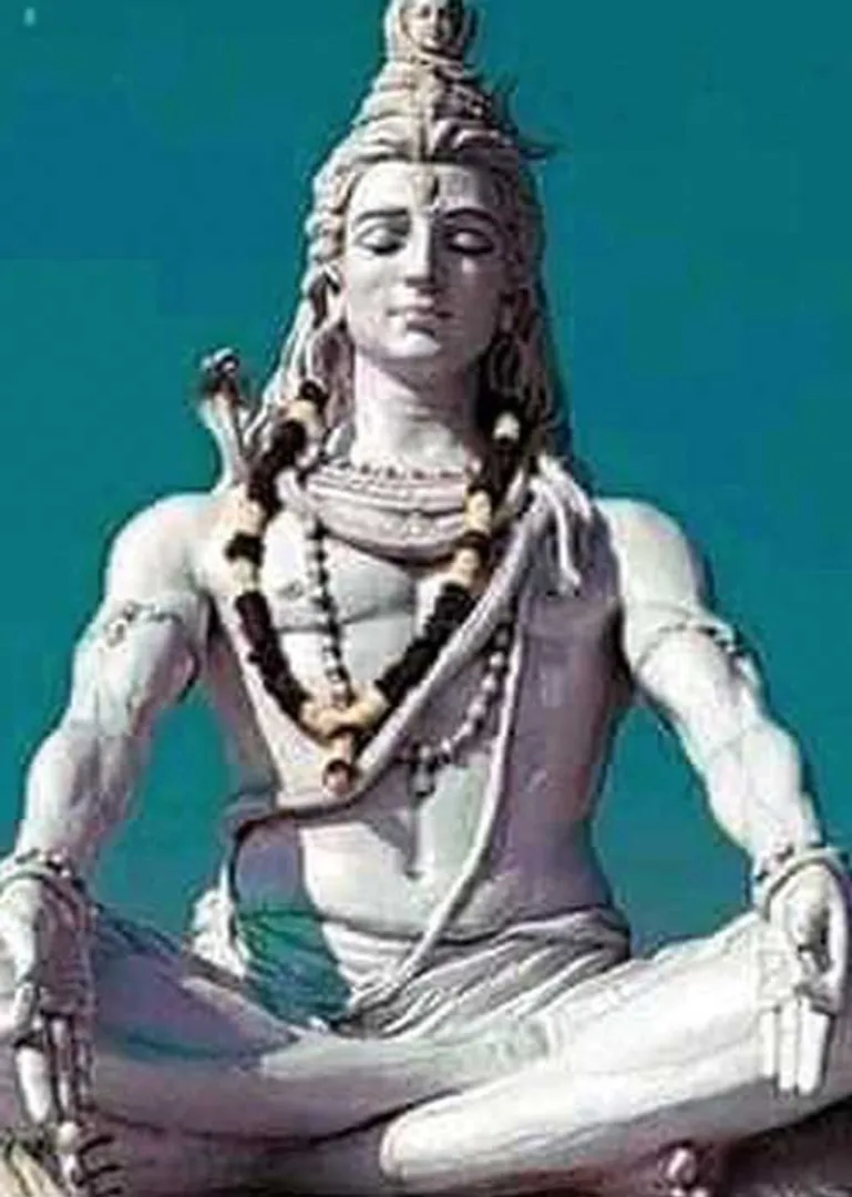 /idhalgal/balajothidam/ketu-among-12-sins-virgo-lagna
