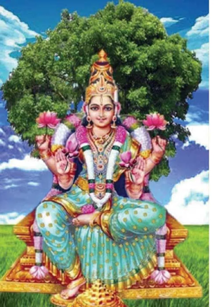 /idhalgal/balajothidam/mangnayars-anatomy-and-lucky-positions-s-vijayanarasimhan