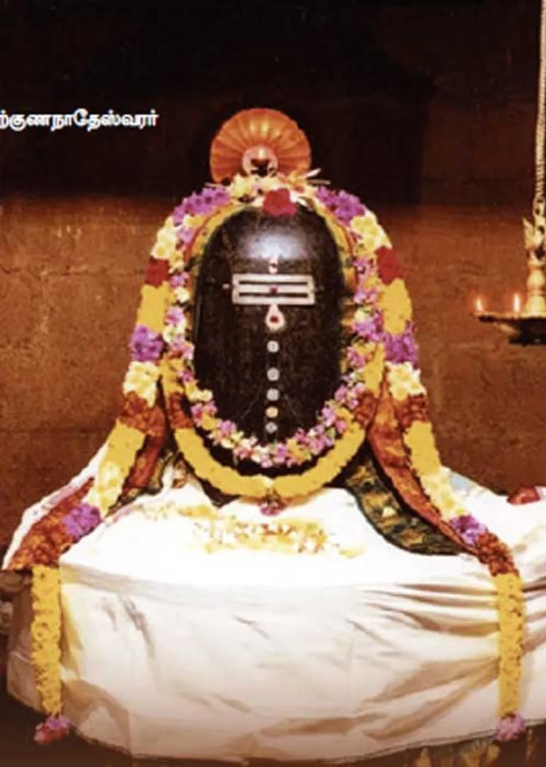 /idhalgal/om/reincarnated-instrument-sargunanatheswarar-coimbatore-arumugam