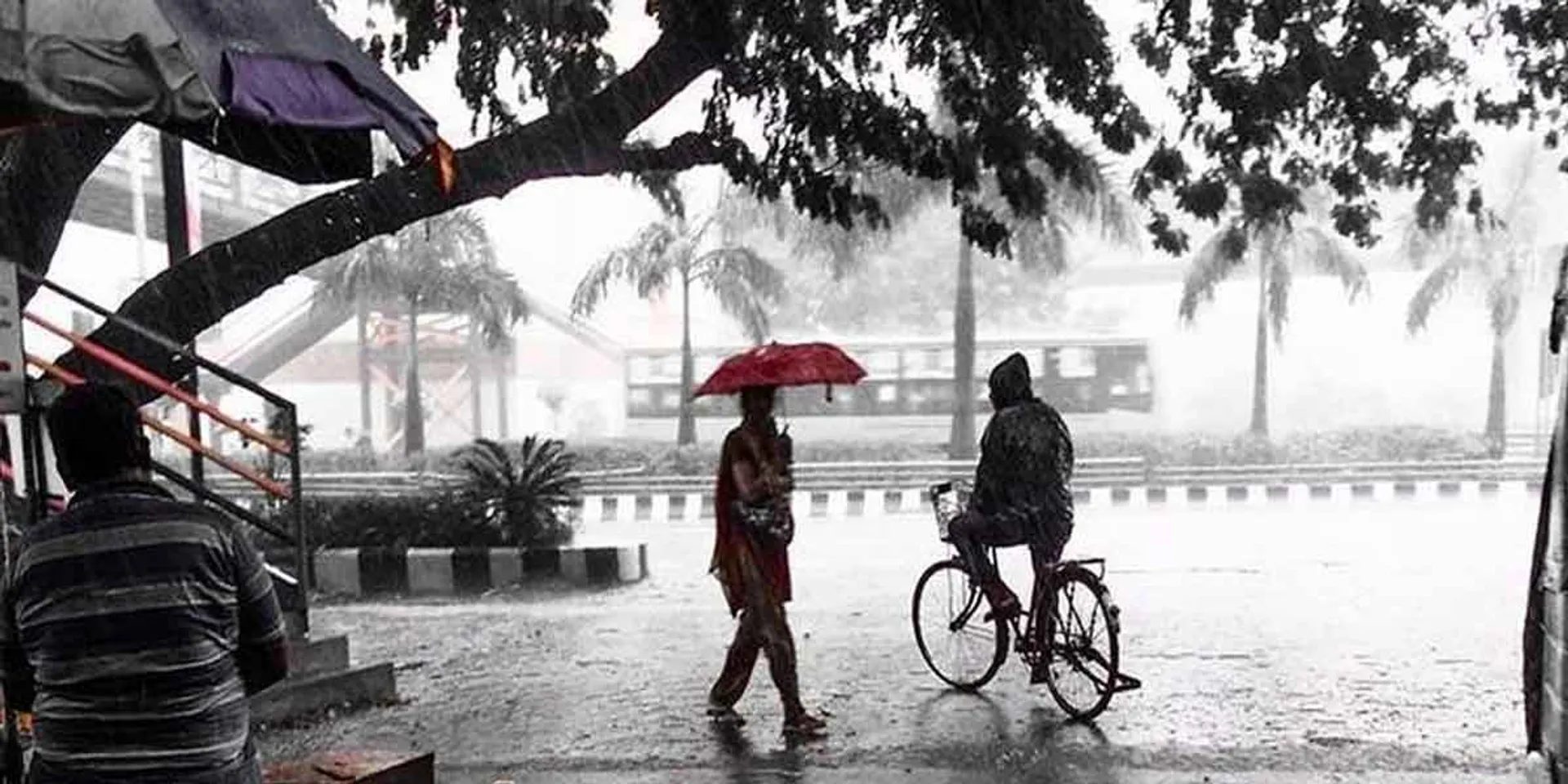  Tomorrow is a holiday for schools and colleges in the Nilgiris!