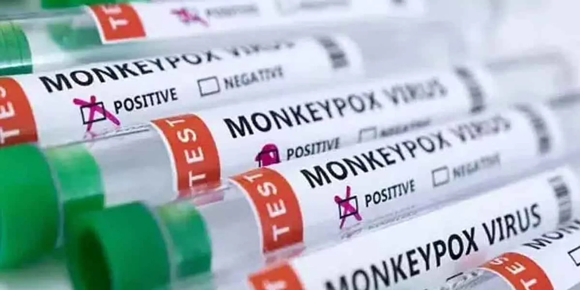 One more monkey POX in Delhi!