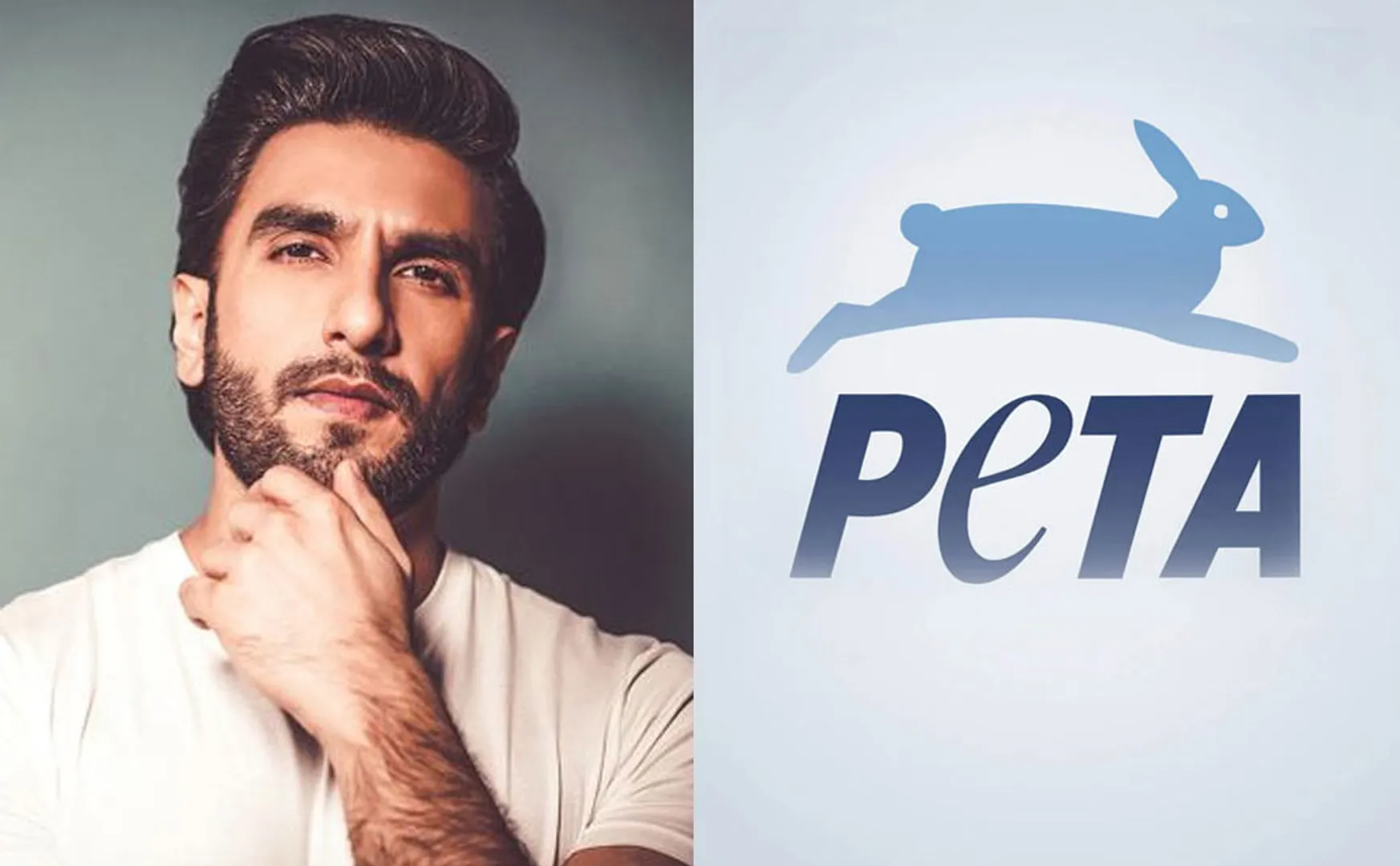 peta Company invites Ranveer Singh to act his ad 