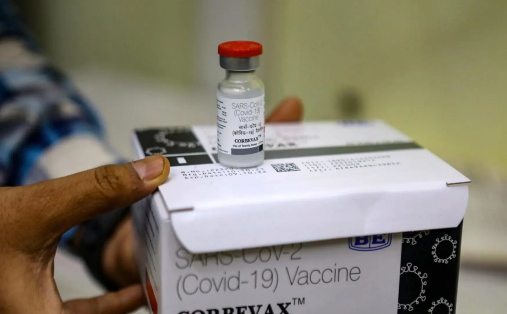 Carbevax Booster Dose Allowed!