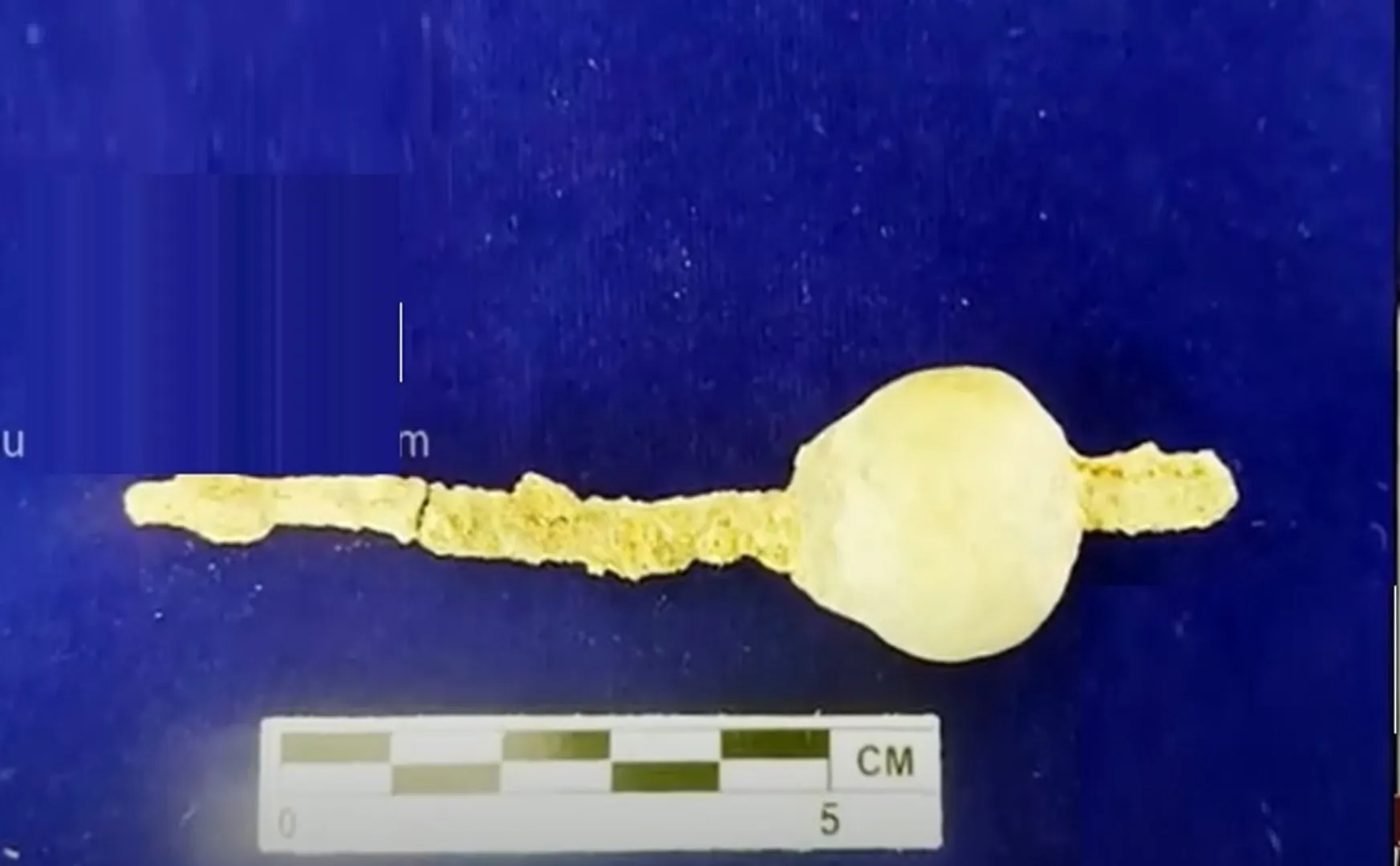 Excavation of Shivagalai finds gold!