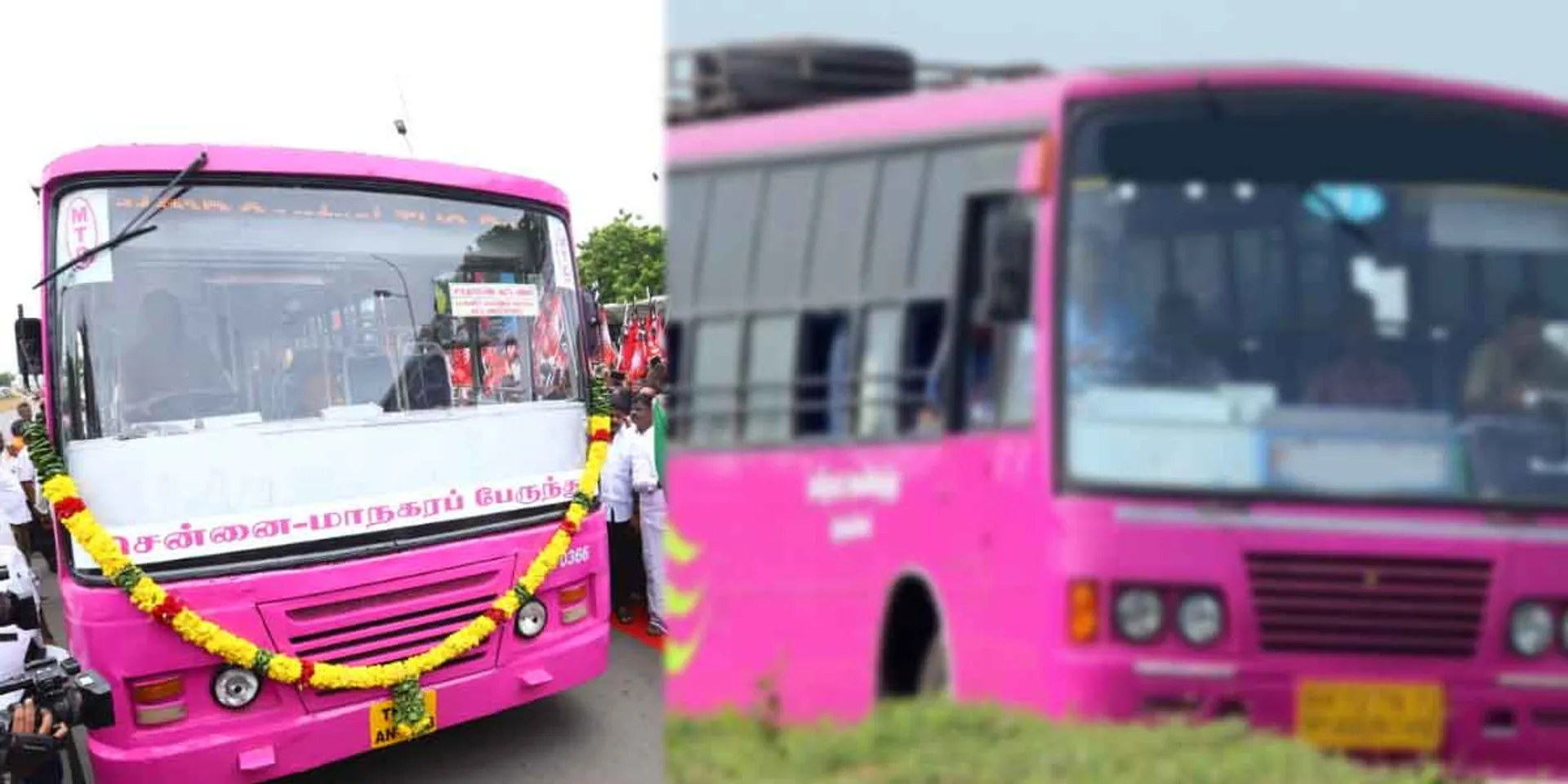 Ordinary fare buses will turn pink!