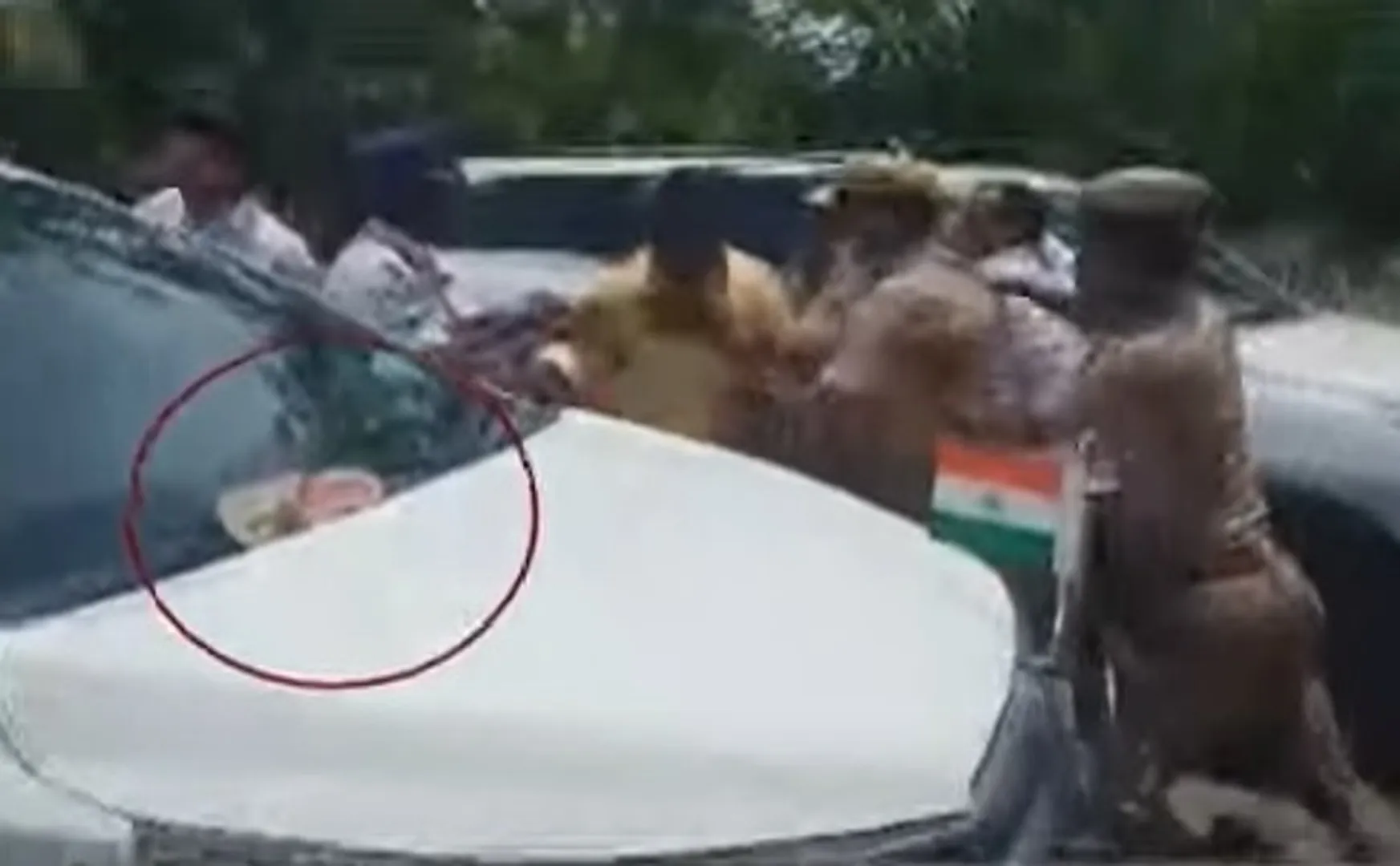Throwing a shoe on Minister Palanivel Thiagarajan's car!