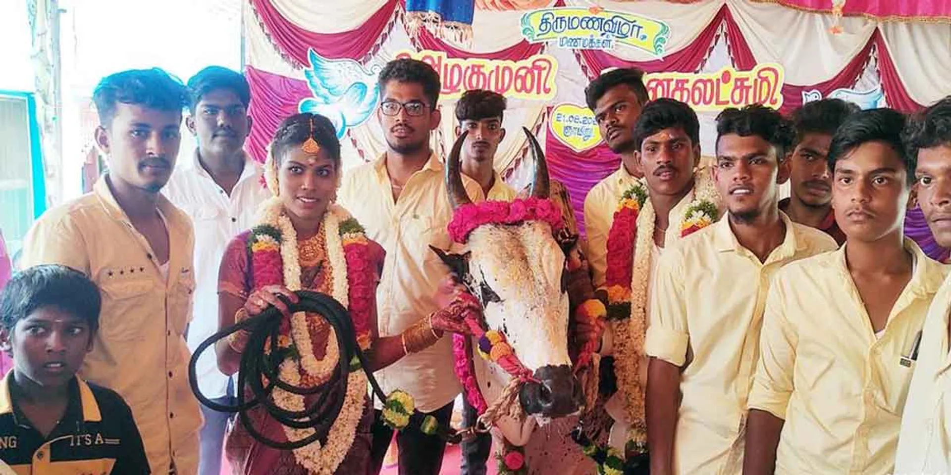 Photo with the jallikattu bull on the wedding-friends who fulfilled the bride's wish!