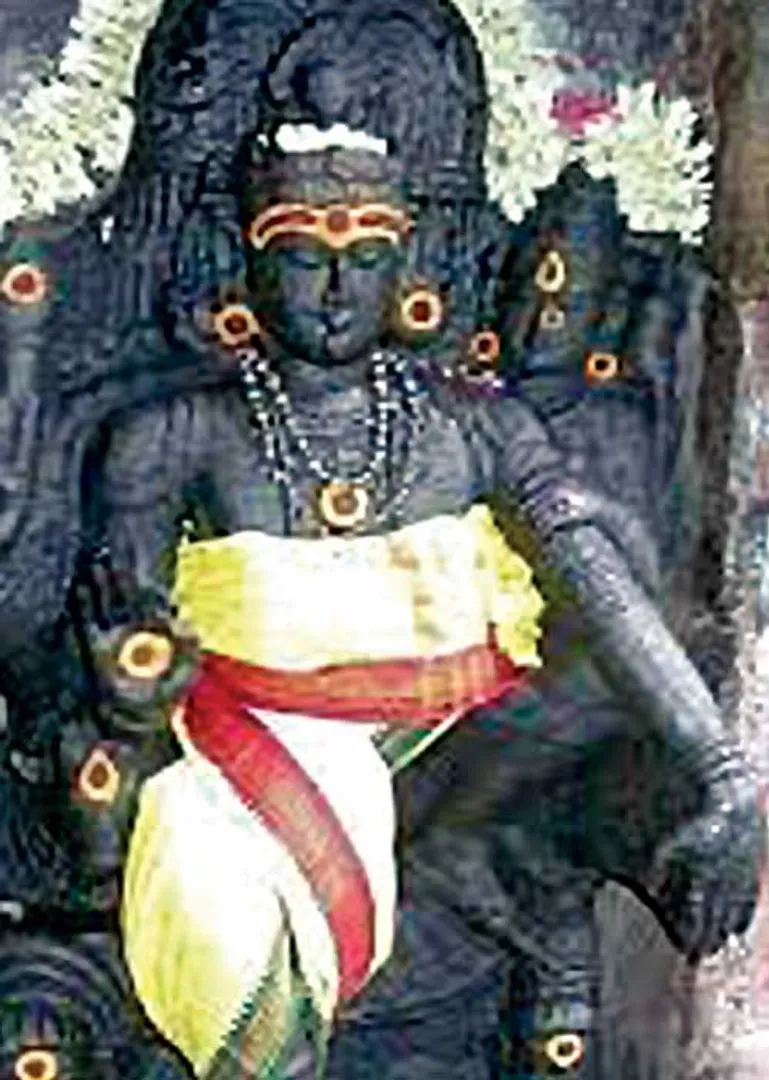 /idhalgal/balajothidam/dakshinamurthy-happily-married-s-sukanti