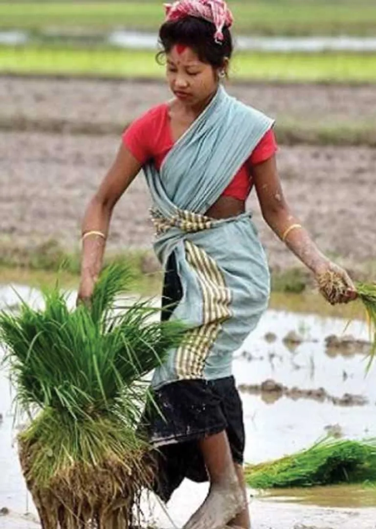 /idhalgal/balajothidam/crop-protection-astrology-amsi-co-vivekananda