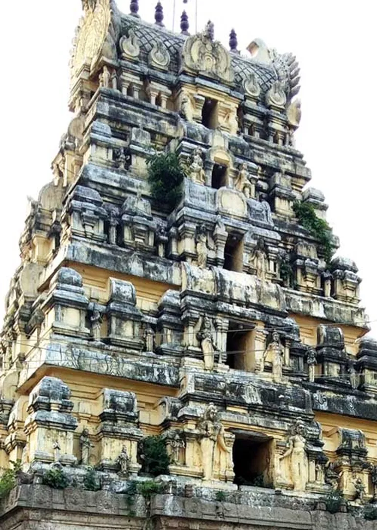 /idhalgal/om/mangalore-kalatheeswarar-removes-rahu-ketu-dosha-sp-shekhar