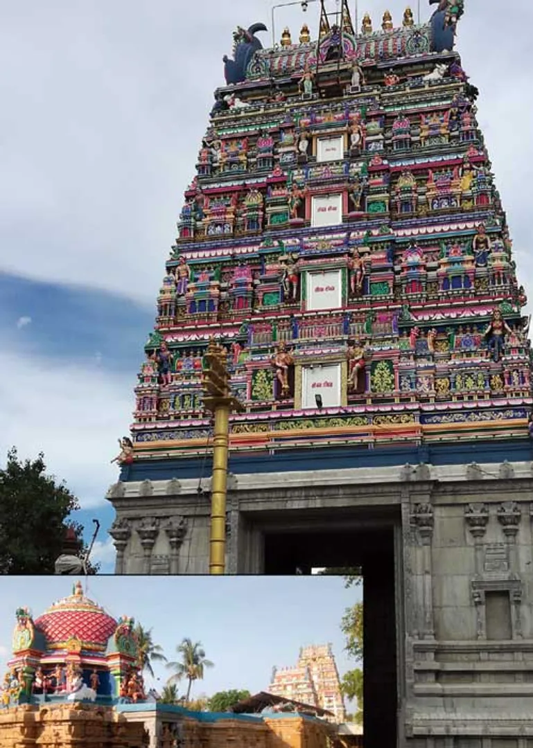 /idhalgal/om/sentura-shivthandeeswarar-who-lives-well-neivasal-nedunchezhiyan