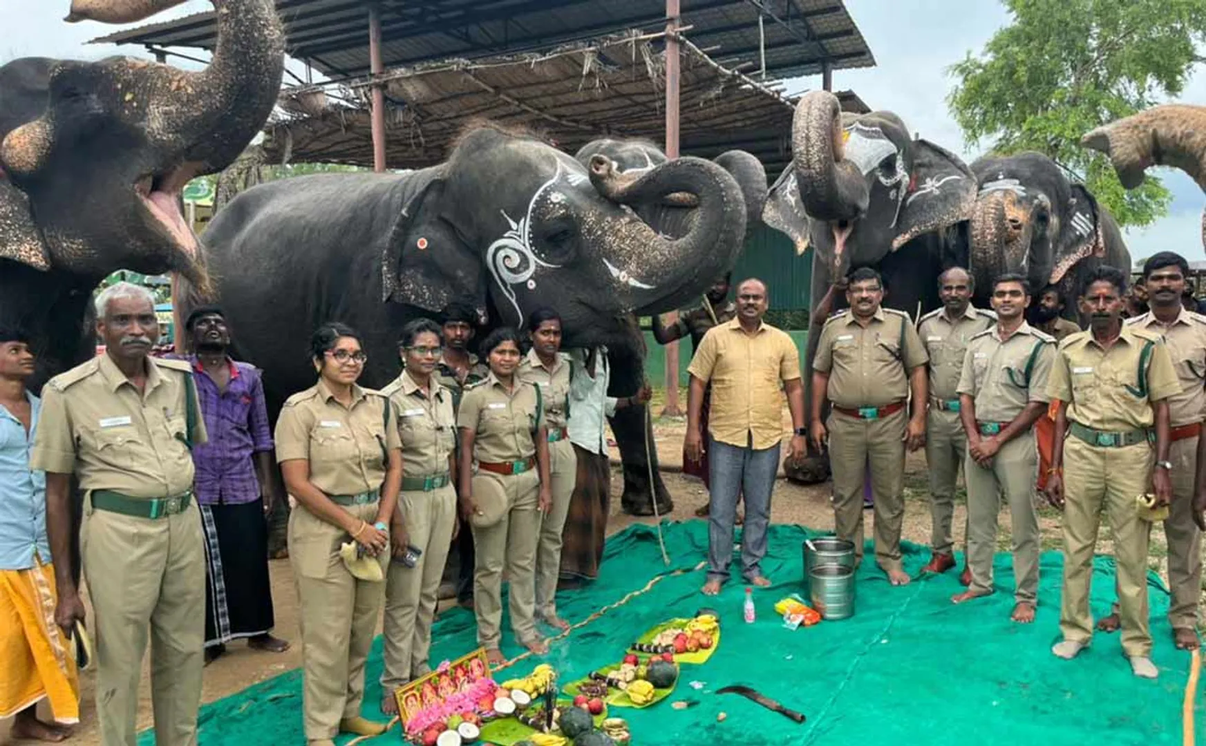 Police provided food fruits elephants occasion Ganesh Chaturthi