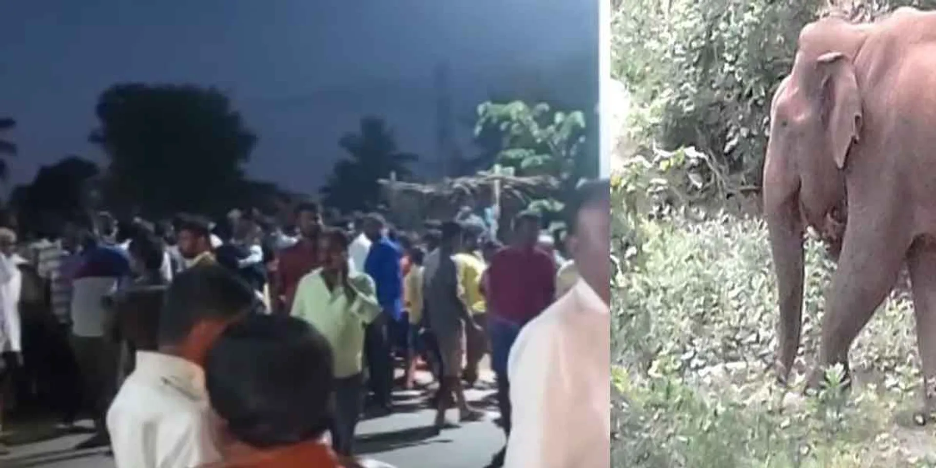  wild elephant attack... Villagers Struggle 