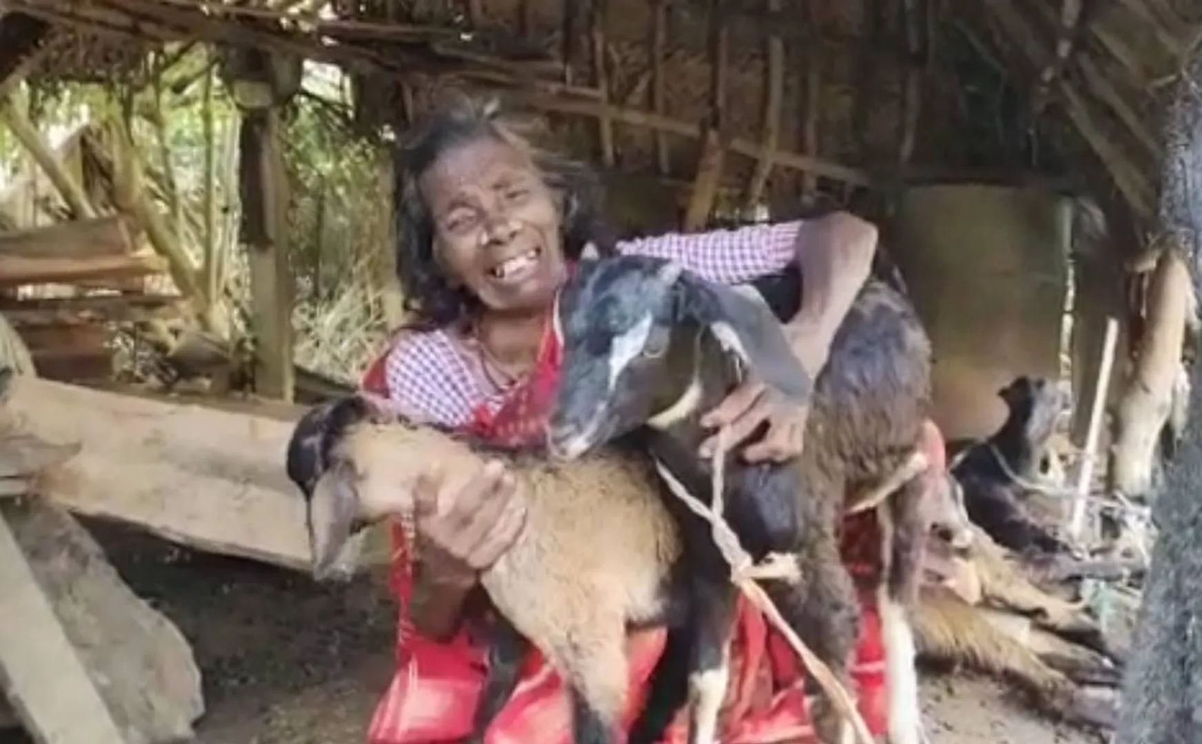 15 goats stolen  Viluppuram police investigation
