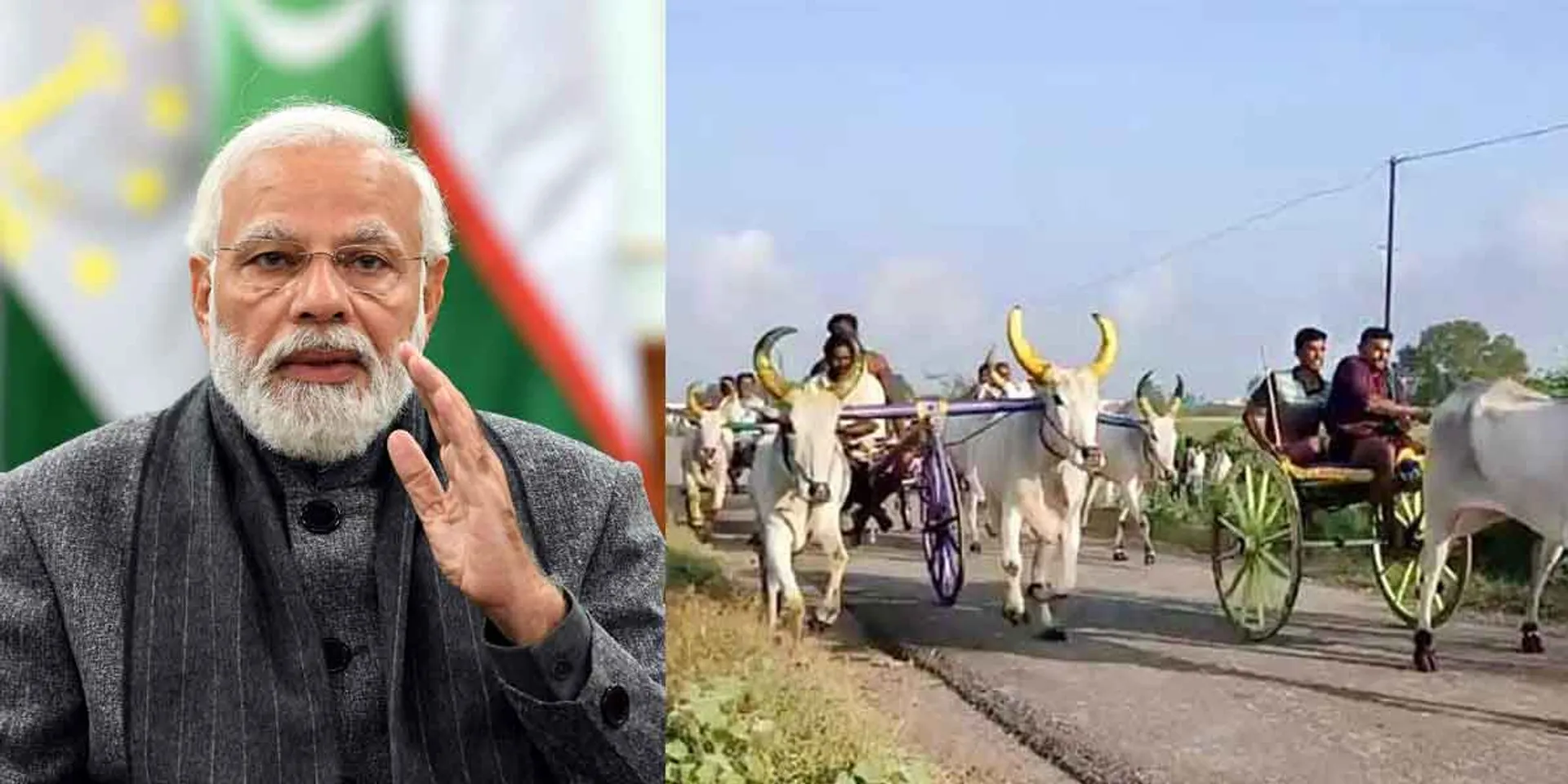  "It is not necessary to conduct a bullock cart race on the birthday" - the opinion of the court!