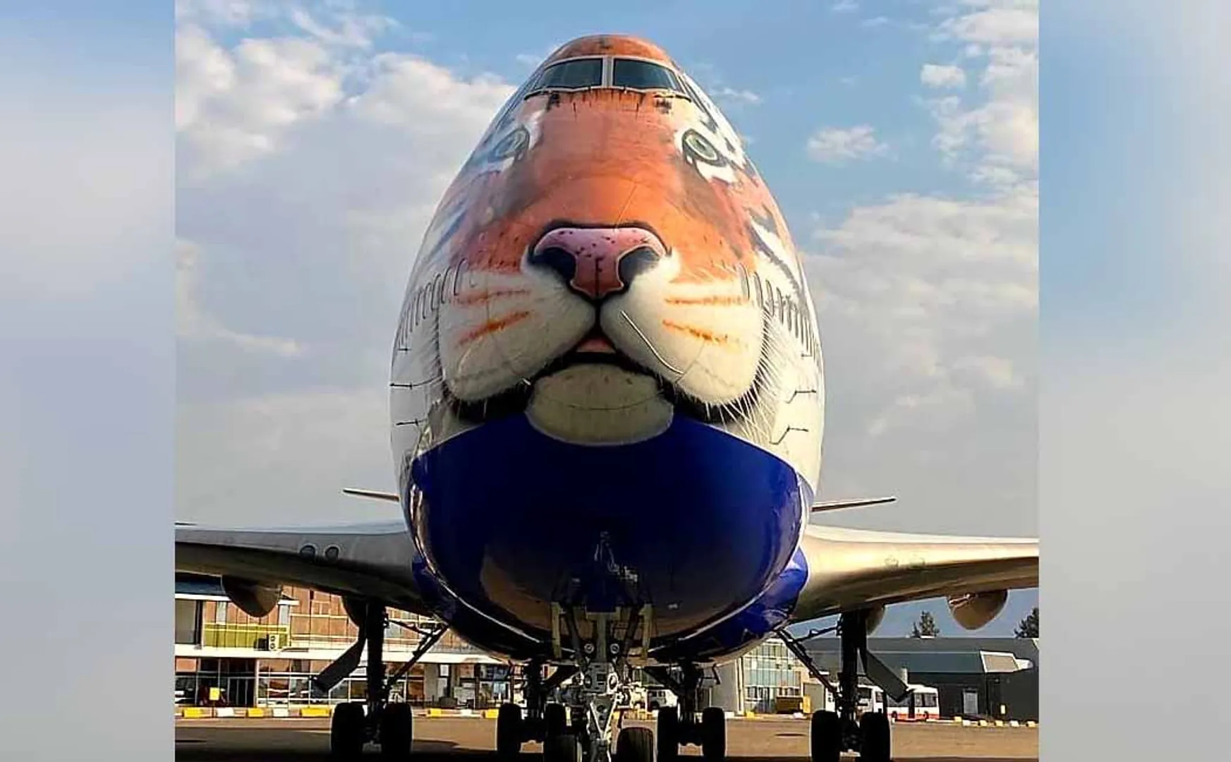 A leopard-faced plane lands in Namibia!