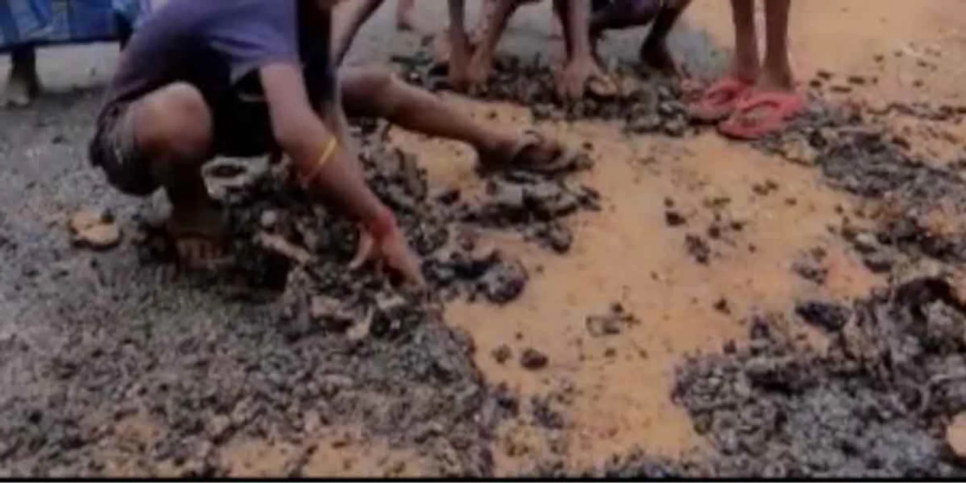 Defective road... public allegation!
