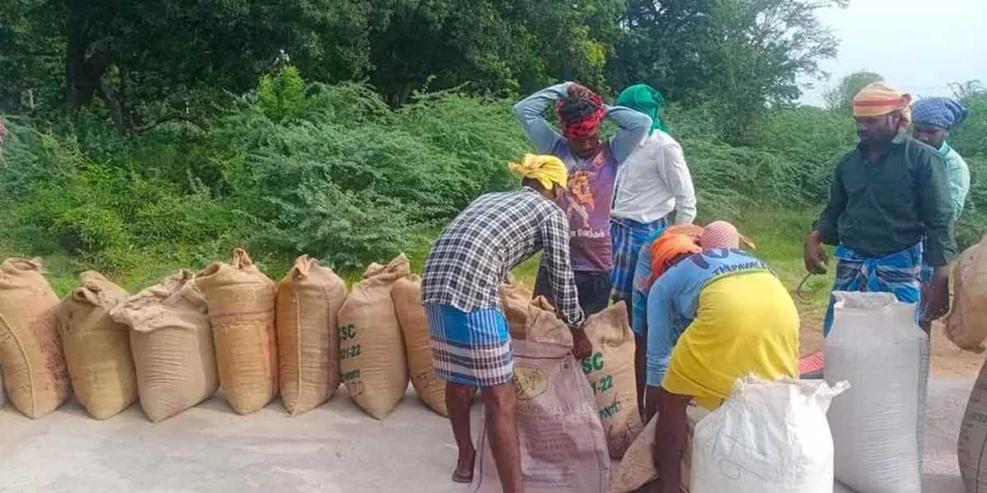 Official who refused to buy rice bags because he refused to pay bribe... Farmers demand dismissal!