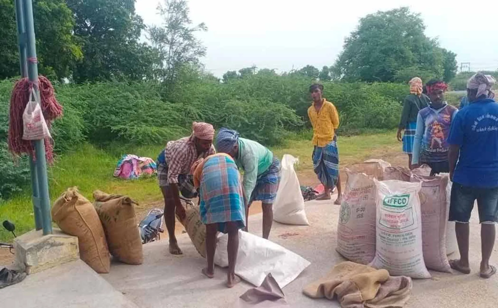"We will go anywhere if we ask for Rs. 50 per bundle or Rs. 100 per bundle" - Farmers who are unable to sell the grown paddy