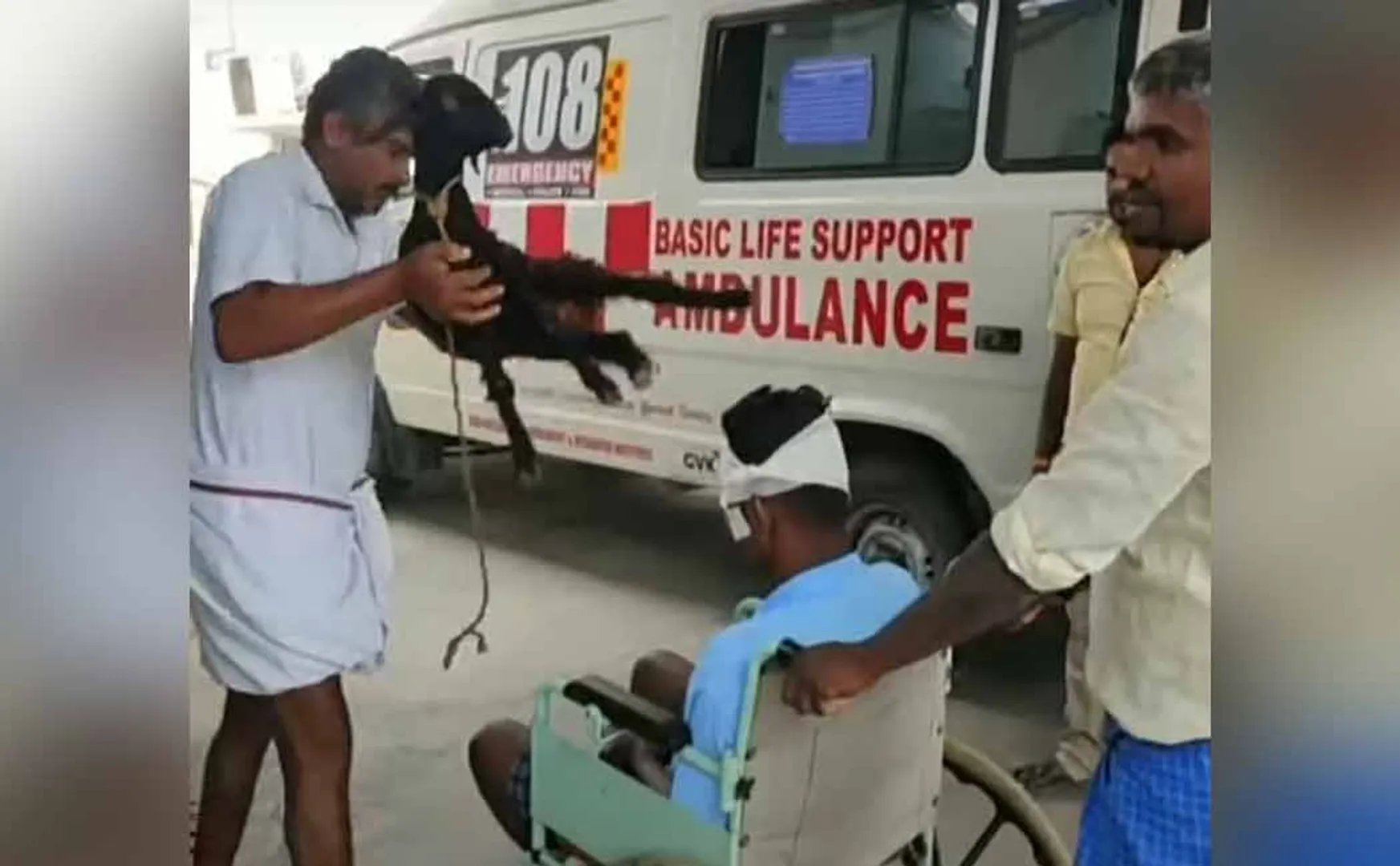  An incident where a person who came to the hospital with a baby goat 