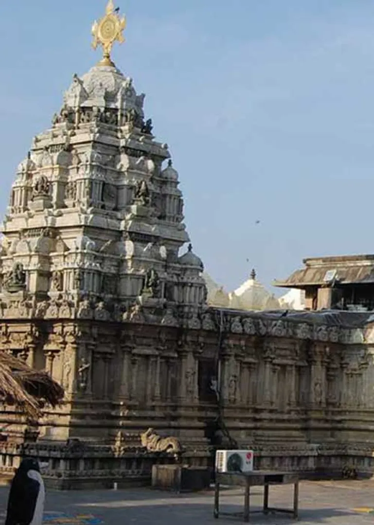 /idhalgal/balajothidam/rahu-ketu-dosha-male-elephant