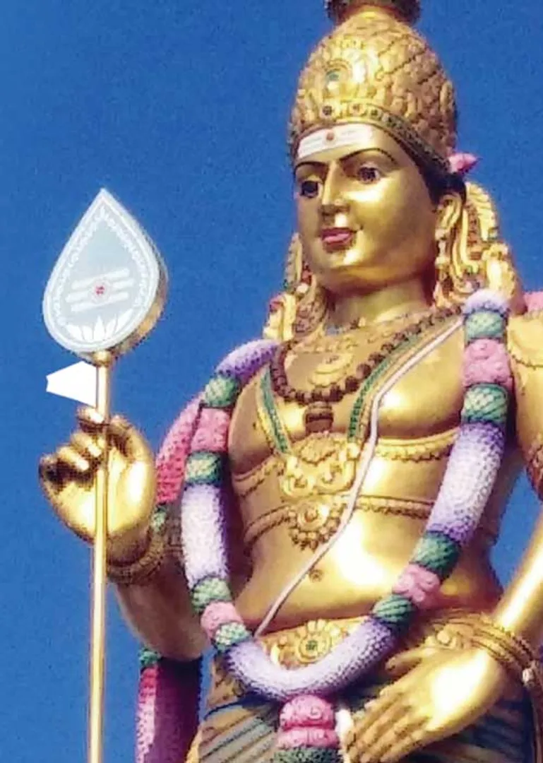 /idhalgal/balajothidam/missing-kalasarpa-dosha-prasanna-astrologer-i-anandhi