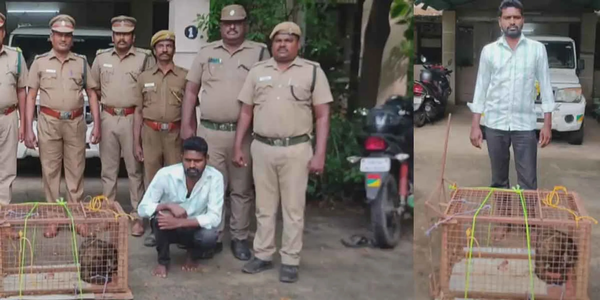 Man arrested for poaching rare wild dog